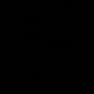 Meet your Posher, Cesar